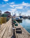 Havnen i Portland