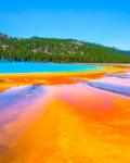 Yellowstone
