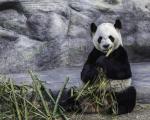 Toronto Zoo