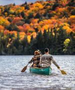 Tag en rotur i Algonquin national park